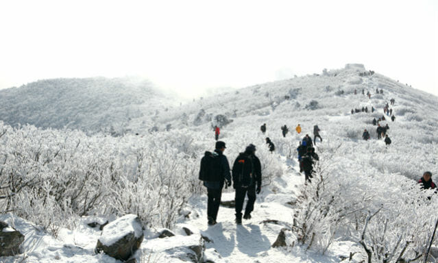 Unique Things To Do For Every Season In Korea