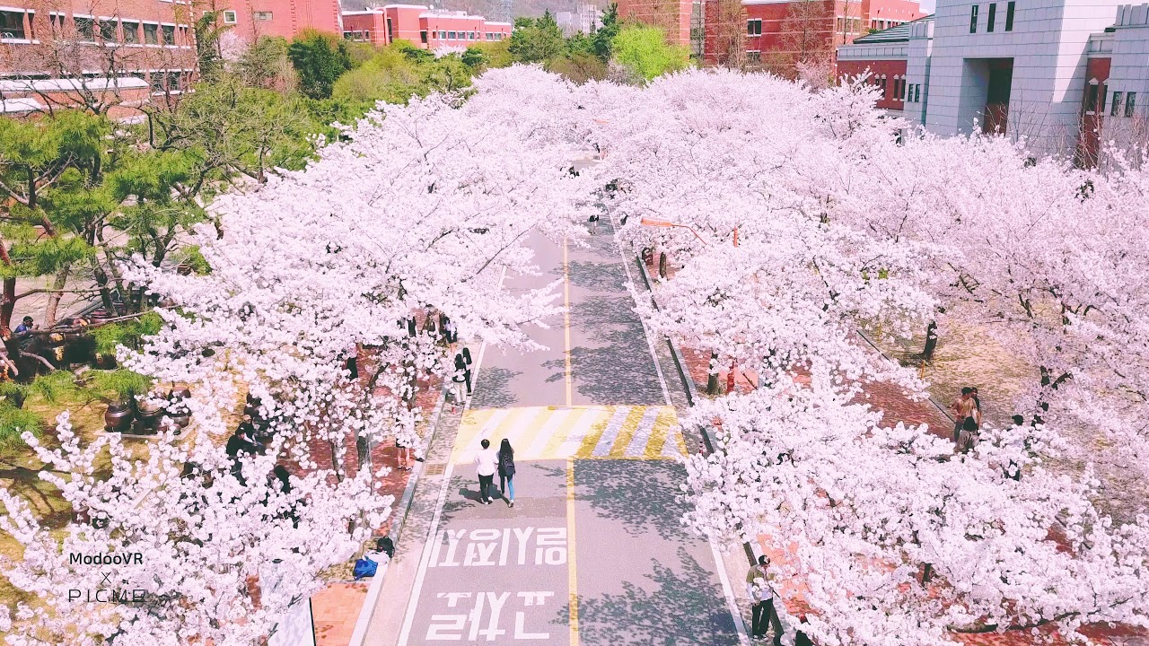 Keimyung University